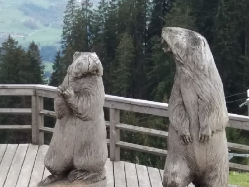Obermaiselstein 2018 (14)